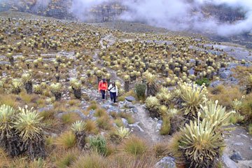 Itinerario Parque Nacional Natural El Cocuy en Colombia