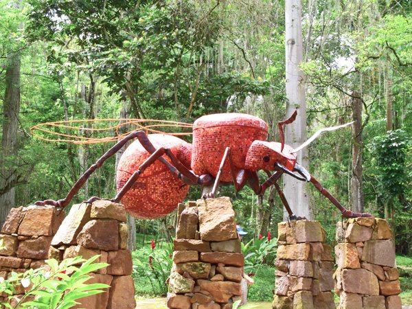 Monumento a la hormiga culona en San Gil, Santander, Colombia