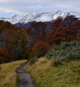 Sendero rodeado de árboles color otoñal y montañas nevadas al fondo