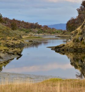 Río cristalino serpenteando entre bosques en Tierra del Fuego