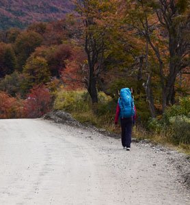 Camila caminando con mochila en un sendero boscoso de Tierra del Fuego